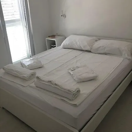 Zamarin 2